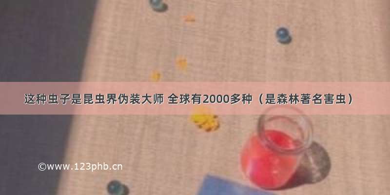 这种虫子是昆虫界伪装大师 全球有2000多种（是森林著名害虫）