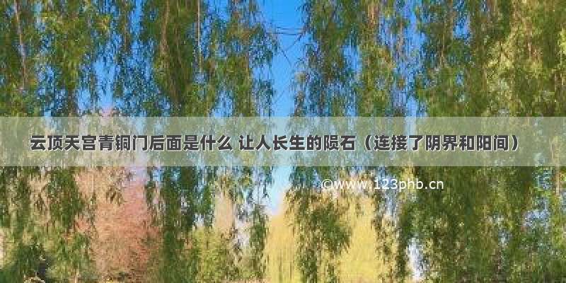 云顶天宫青铜门后面是什么 让人长生的陨石（连接了阴界和阳间）