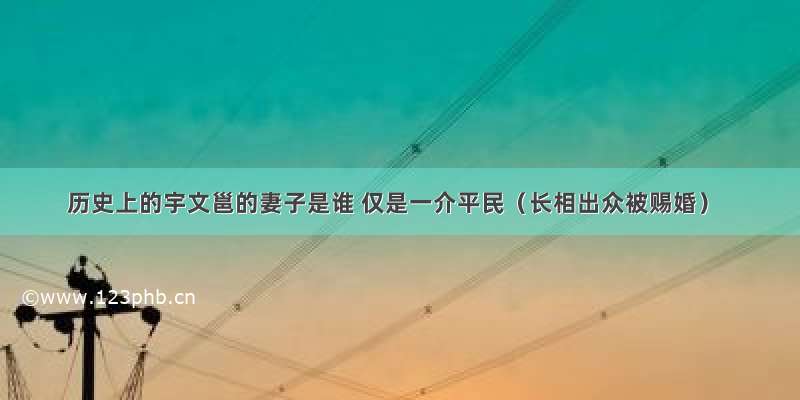 历史上的宇文邕的妻子是谁 仅是一介平民（长相出众被赐婚）