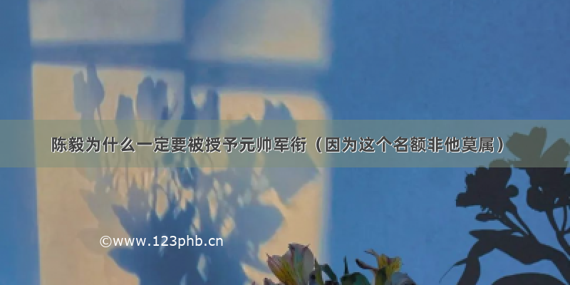 陈毅为什么一定要被授予元帅军衔（因为这个名额非他莫属）