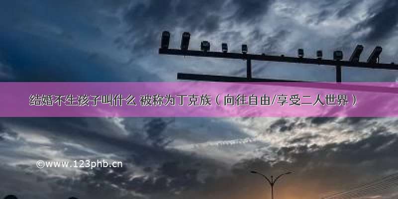 结婚不生孩子叫什么 被称为丁克族（向往自由/享受二人世界）