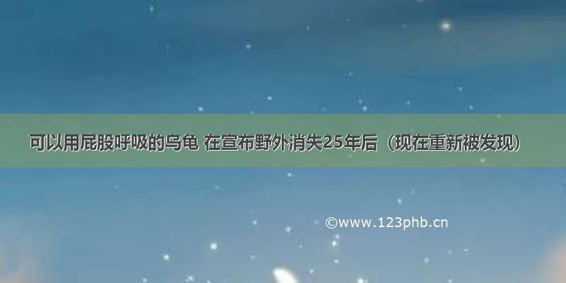 可以用屁股呼吸的乌龟 在宣布野外消失25年后（现在重新被发现）