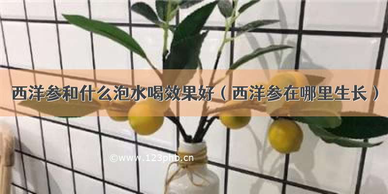 西洋参和什么泡水喝效果好（西洋参在哪里生长）