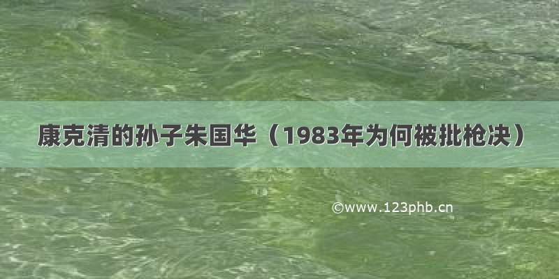 康克清的孙子朱国华（1983年为何被批枪决）