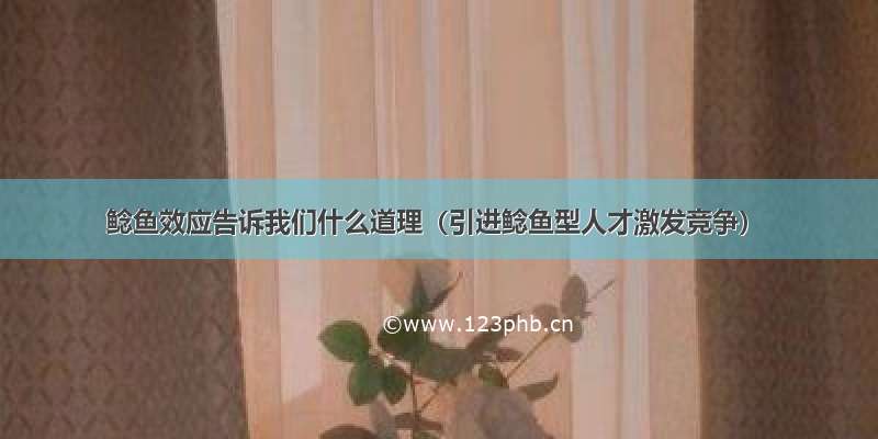 鲶鱼效应告诉我们什么道理（引进鲶鱼型人才激发竞争）