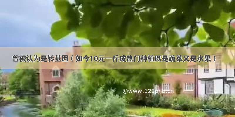 曾被认为是转基因（如今10元一斤成热门种植既是蔬菜又是水果）