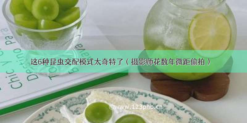 这6种昆虫交配模式太奇特了（摄影师花数年微距偷拍）