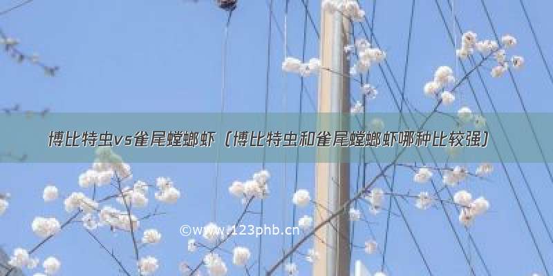 博比特虫vs雀尾螳螂虾（博比特虫和雀尾螳螂虾哪种比较强）