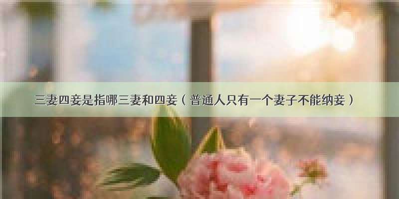 三妻四妾是指哪三妻和四妾（普通人只有一个妻子不能纳妾）