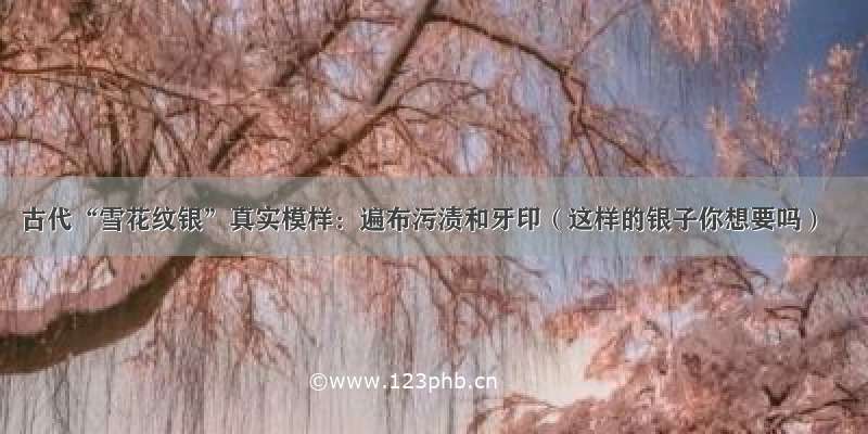 古代“雪花纹银”真实模样：遍布污渍和牙印（这样的银子你想要吗）