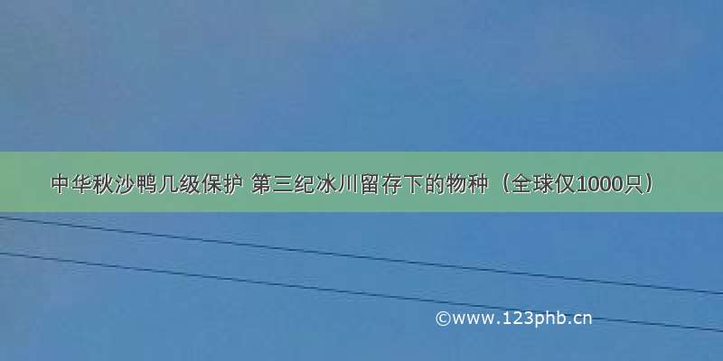 中华秋沙鸭几级保护 第三纪冰川留存下的物种（全球仅1000只）