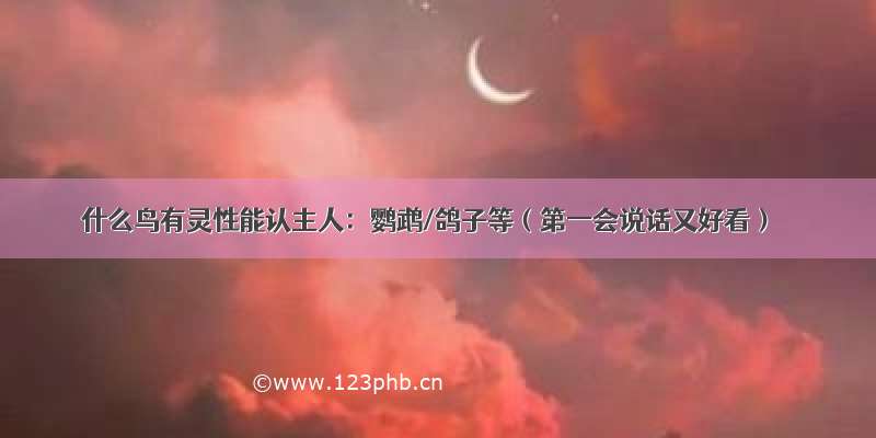 什么鸟有灵性能认主人：鹦鹉/鸽子等（第一会说话又好看）