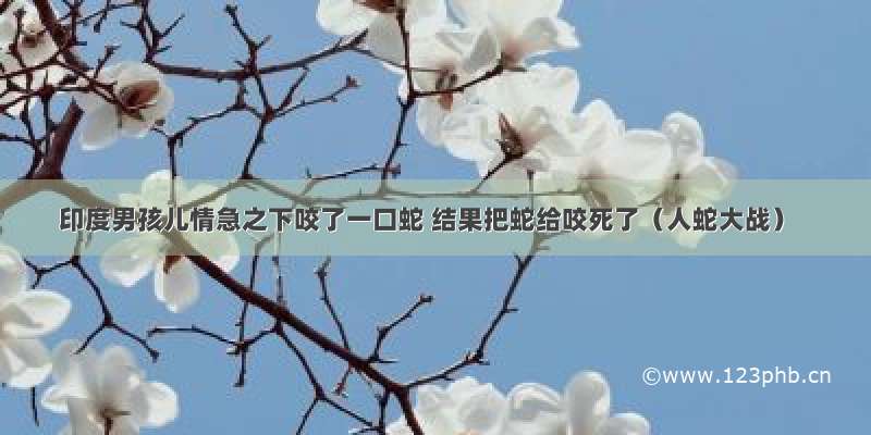 印度男孩儿情急之下咬了一口蛇 结果把蛇给咬死了（人蛇大战）