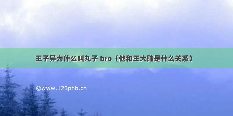 王子异为什么叫丸子 bro（他和王大陆是什么关系）