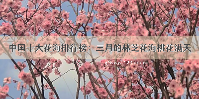 中国十大花海排行榜：三月的林芝花海桃花满天