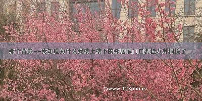 那个背影——我知道为什么我楼上楼下的邻居家门口要挂八卦铜镜了