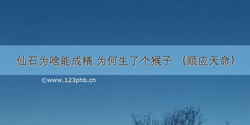 仙石为啥能成精 为何生了个猴子 （顺应天命）