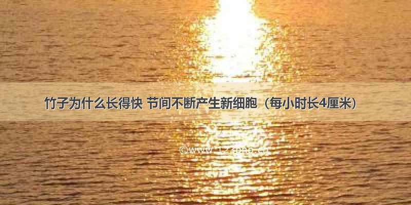 竹子为什么长得快 节间不断产生新细胞（每小时长4厘米）