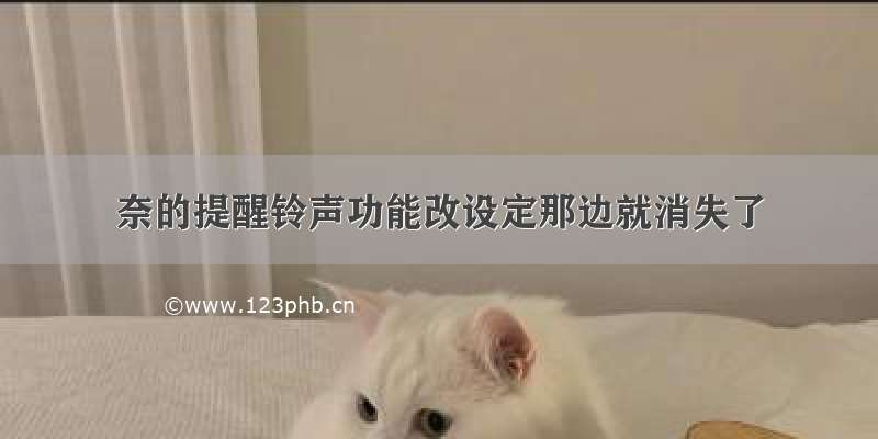 奈的提醒铃声功能改设定那边就消失了