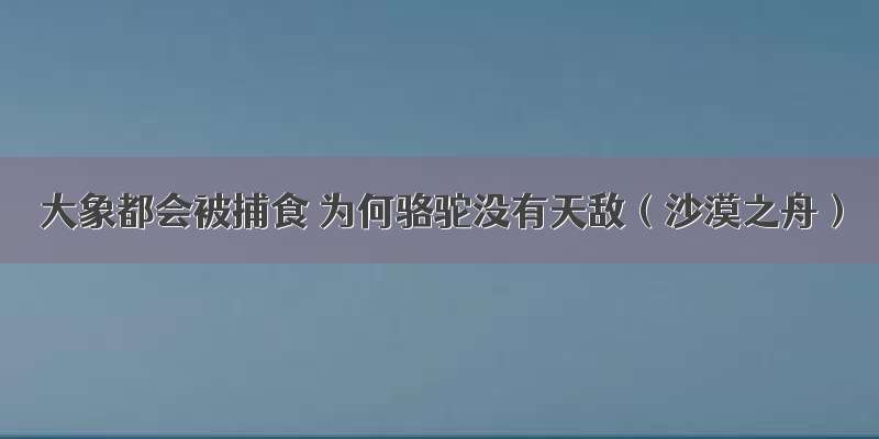 大象都会被捕食 为何骆驼没有天敌（沙漠之舟）