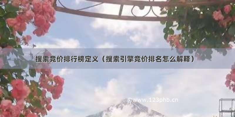 搜索竞价排行榜定义（搜索引擎竞价排名怎么解释）