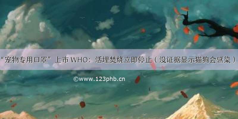 “宠物专用口罩”上市 WHO：活埋焚烧立即停止（没证据显示猫狗会感染）