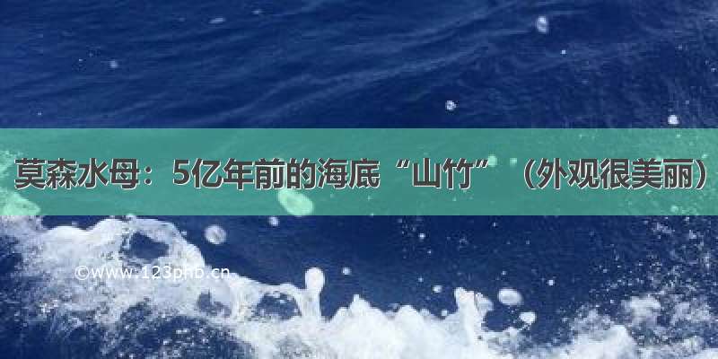 莫森水母：5亿年前的海底“山竹”（外观很美丽）