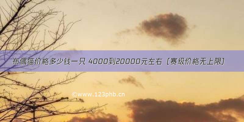 布偶猫价格多少钱一只 4000到20000元左右（赛级价格无上限）