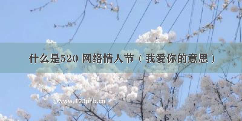 什么是520 网络情人节（我爱你的意思）