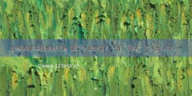 自然界里不好惹的生物 第二个最奇葩（一直“追杀”了人类三年）