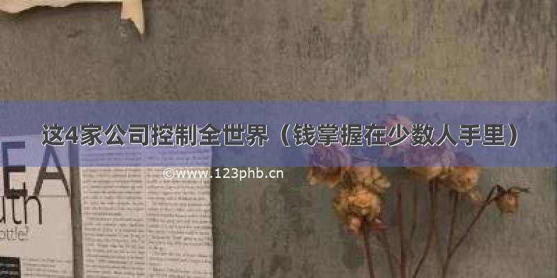 这4家公司控制全世界（钱掌握在少数人手里）