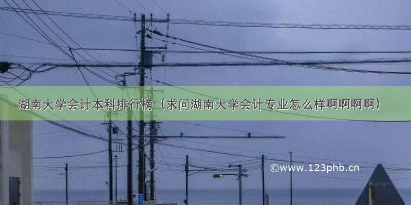 湖南大学会计本科排行榜（求问湖南大学会计专业怎么样啊啊啊啊）