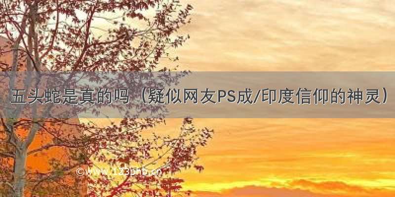 五头蛇是真的吗（疑似网友PS成/印度信仰的神灵）