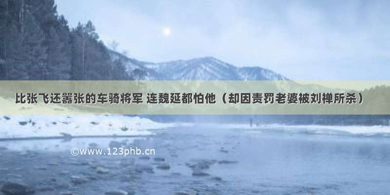 比张飞还嚣张的车骑将军 连魏延都怕他（却因责罚老婆被刘禅所杀）