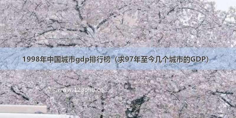 1998年中国城市gdp排行榜（求97年至今几个城市的GDP）