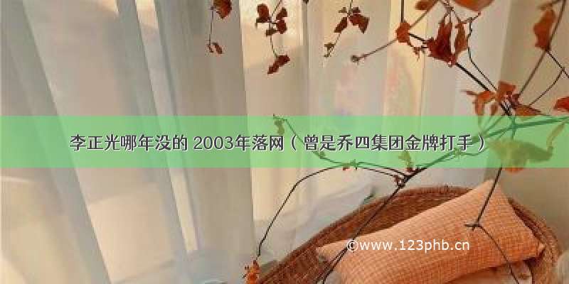 李正光哪年没的 2003年落网（曾是乔四集团金牌打手）