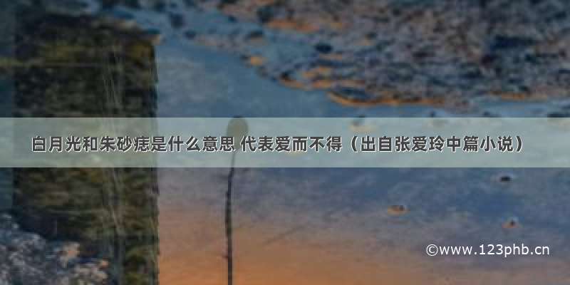 白月光和朱砂痣是什么意思 代表爱而不得（出自张爱玲中篇小说）