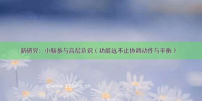 新研究：小脑参与高层意识（功能远不止协调动作与平衡）