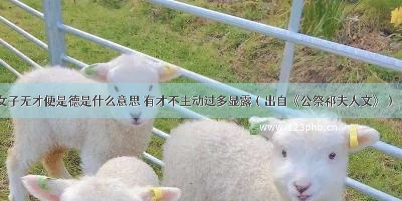 女子无才便是德是什么意思 有才不主动过多显露（出自《公祭祁夫人文》）