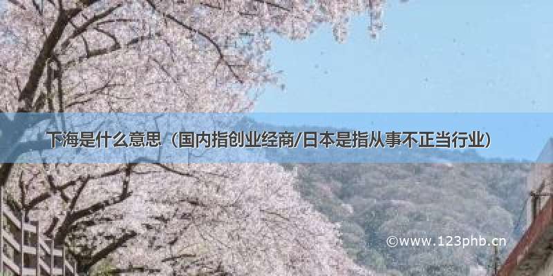 下海是什么意思（国内指创业经商/日本是指从事不正当行业）