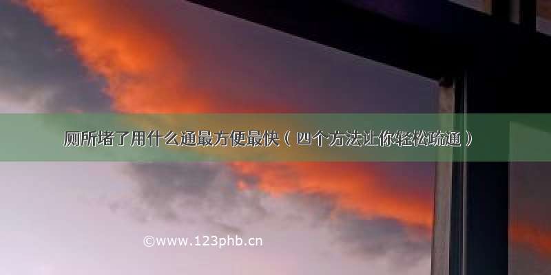 厕所堵了用什么通最方便最快（四个方法让你轻松疏通）