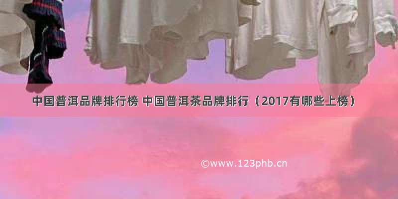 中国普洱品牌排行榜 中国普洱茶品牌排行（2017有哪些上榜）
