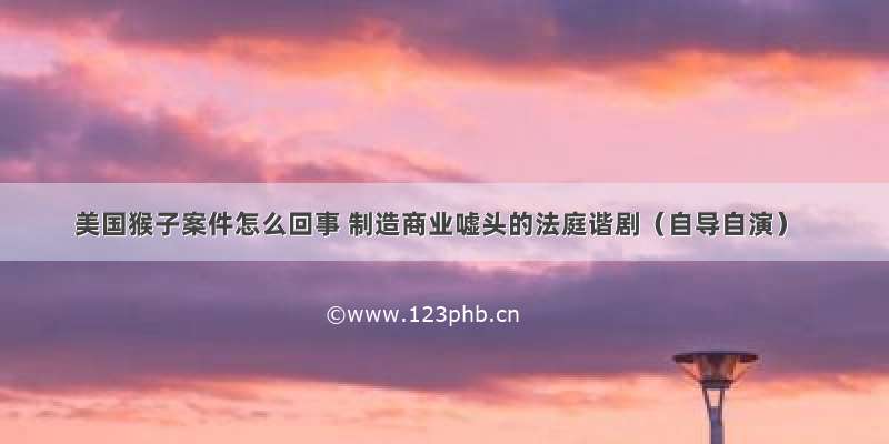 美国猴子案件怎么回事 制造商业嘘头的法庭谐剧（自导自演）