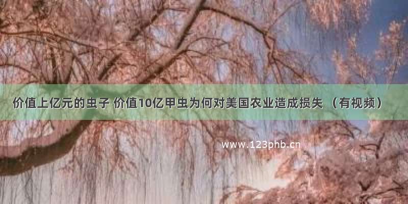 价值上亿元的虫子 价值10亿甲虫为何对美国农业造成损失 （有视频）