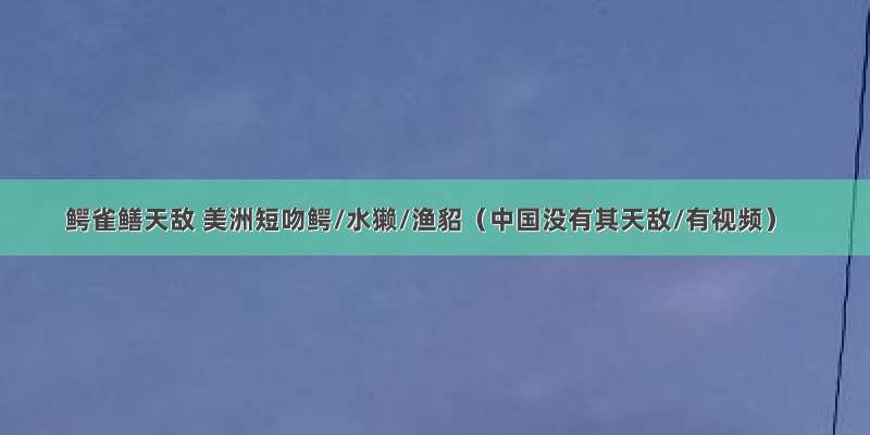 鳄雀鳝天敌 美洲短吻鳄/水獭/渔貂（中国没有其天敌/有视频）