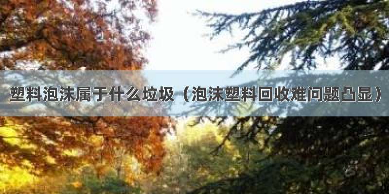 塑料泡沫属于什么垃圾（泡沫塑料回收难问题凸显）