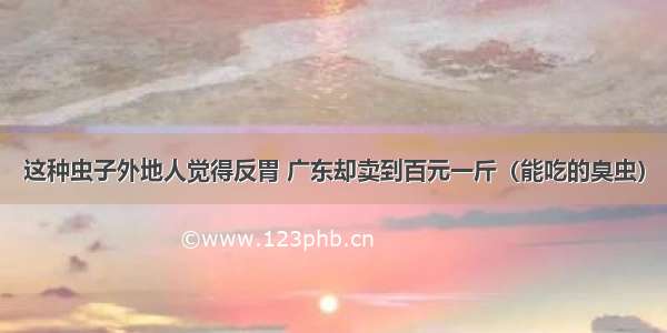 这种虫子外地人觉得反胃 广东却卖到百元一斤（能吃的臭虫）