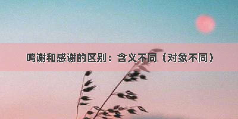 鸣谢和感谢的区别：含义不同（对象不同）