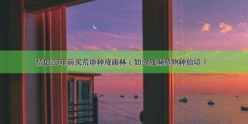 情侣26年前买荒地种成雨林（如今成濒危物种仙境）