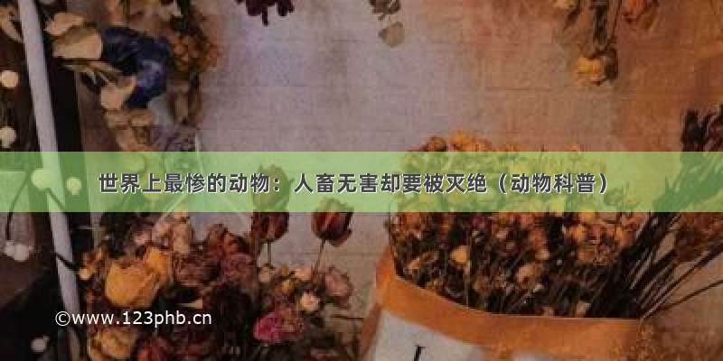 世界上最惨的动物：人畜无害却要被灭绝（动物科普）